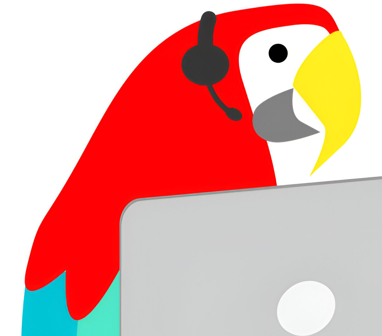 Talking Eclectus Parrot Repeating Human Speech Talking Eclectus Parrot mimicking human words and phrases