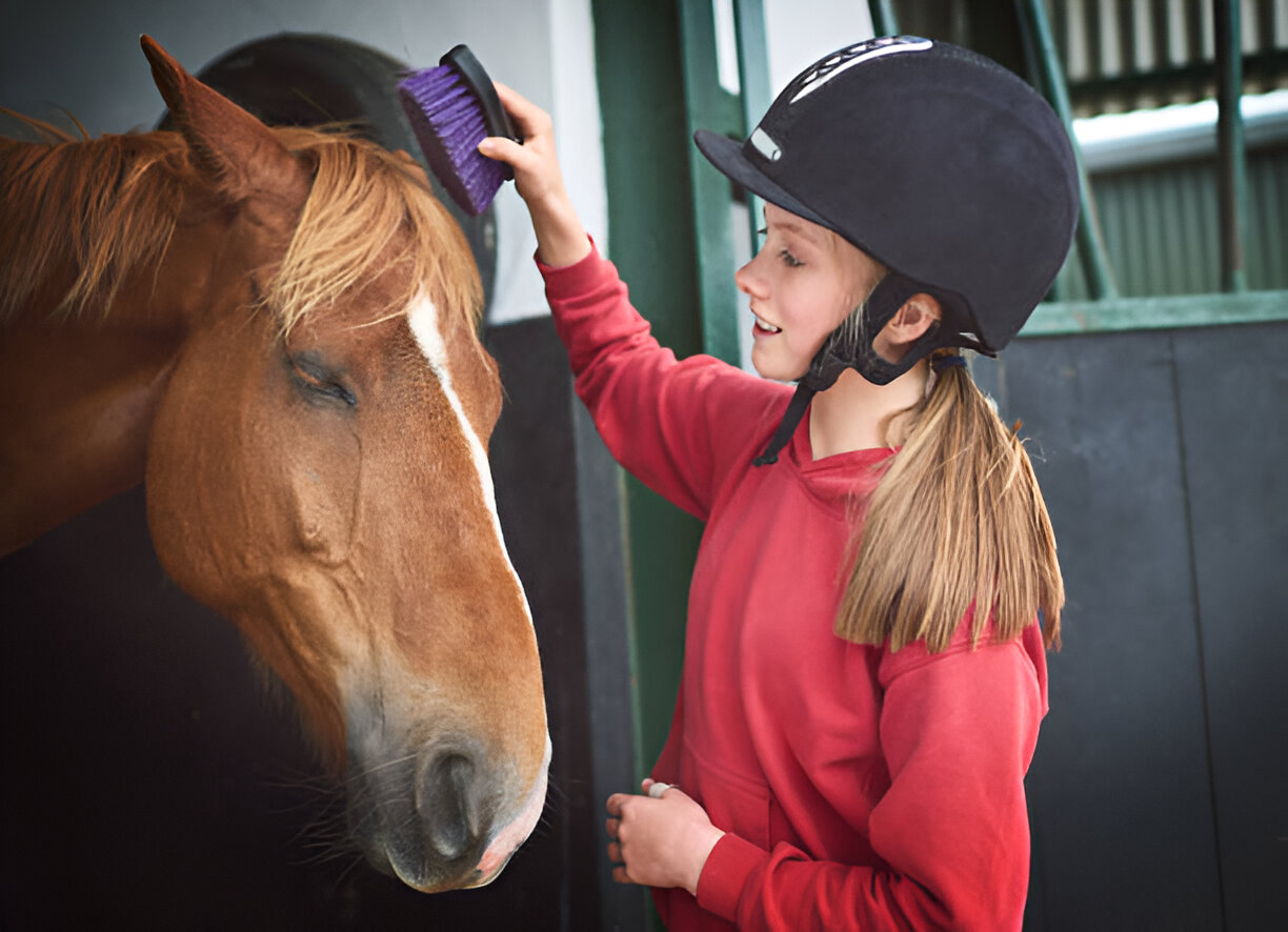 American Quarter Horse with child grooming