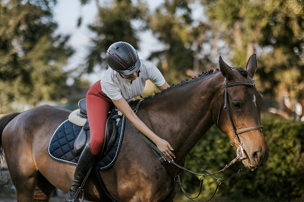 American Quarter Horse working on ranch