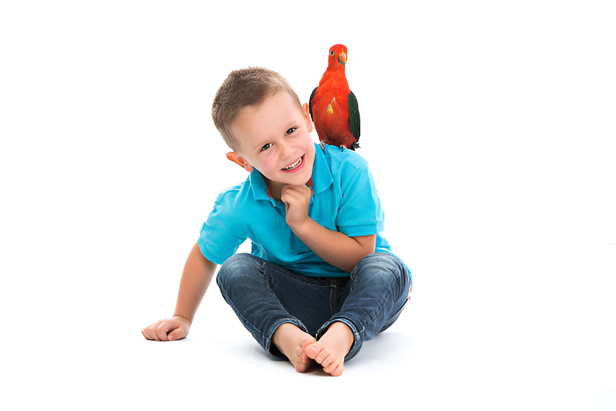 family with Galah parrot