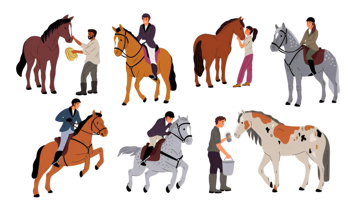 American Quarter Horse performing multiple roles
