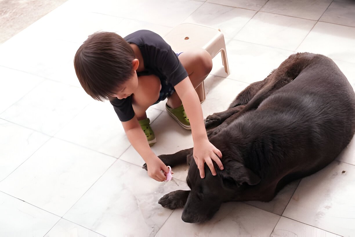 Thai Ridgeback with family showing loyalty and calmness