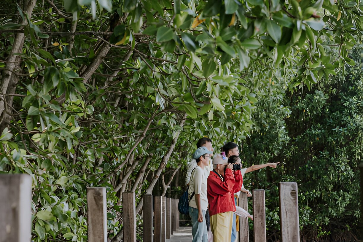 visitors observing rare parrot on guided nature tour