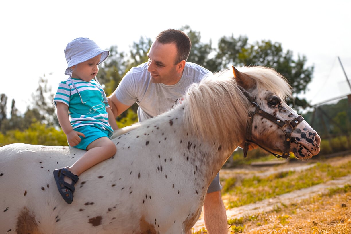  Appaloosa standing beside people for size comparison
