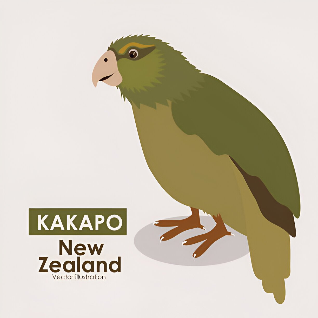 latest kakapo bird population infographic showing upward trend
