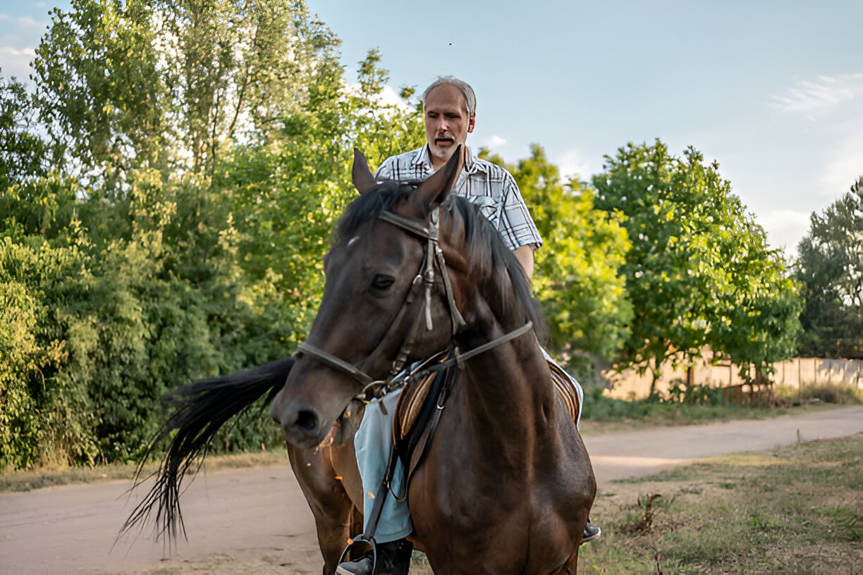 Rider enjoying a trail ride on a well-trained Morgan Horse in the forest